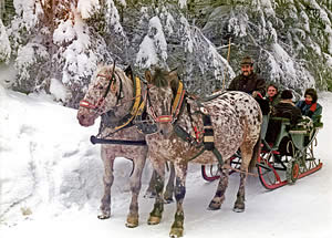 Romantische Schlittefnahrt im Winter